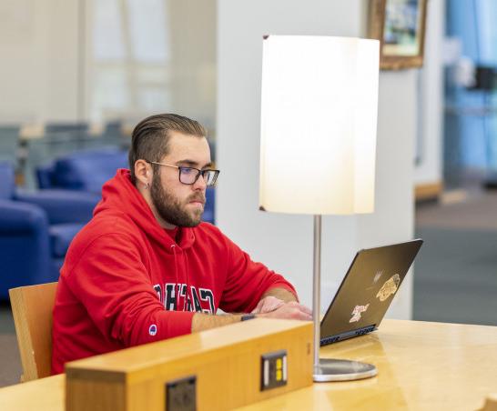 A student studying in Hedberg Library